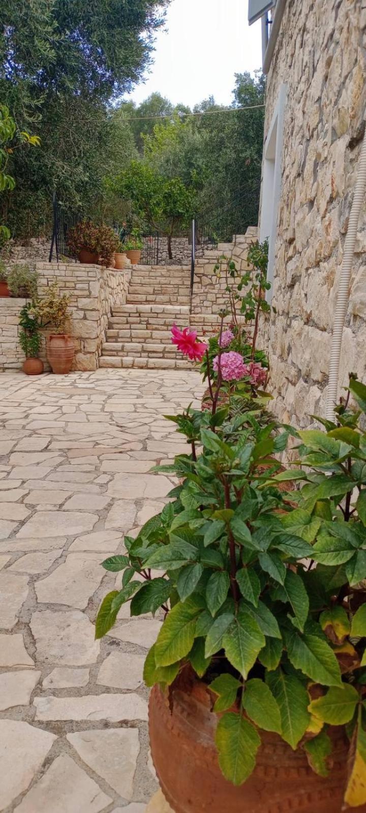 Villa Makris Zenempisatika Buitenkant foto