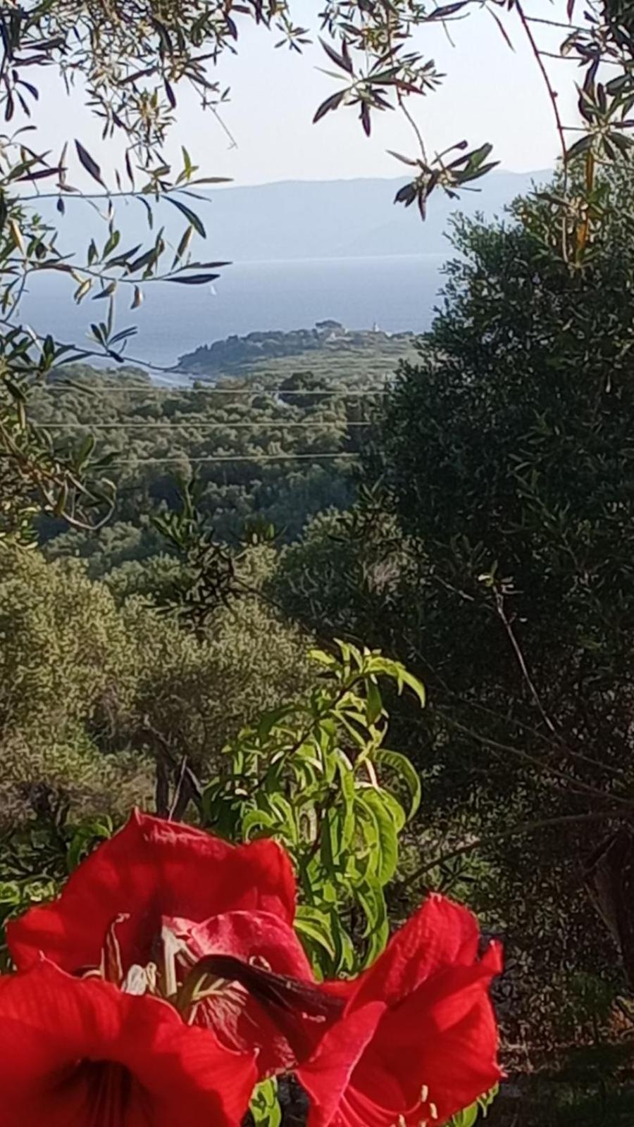 Villa Makris Zenempisatika Buitenkant foto